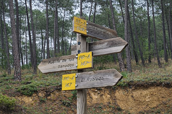 rutas a pie en la naturaleza